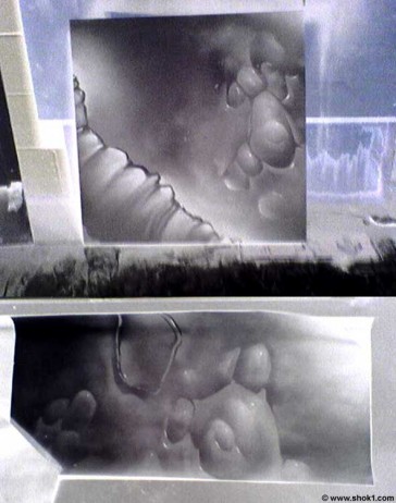 Inverted Organic Inverted Inverted Organic Inverted