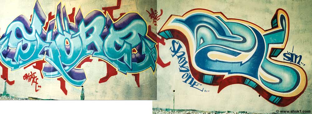 Skore Raws